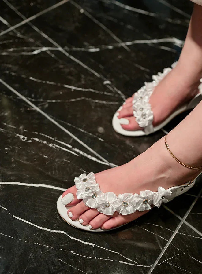 Kehkeshan - AK Galleria