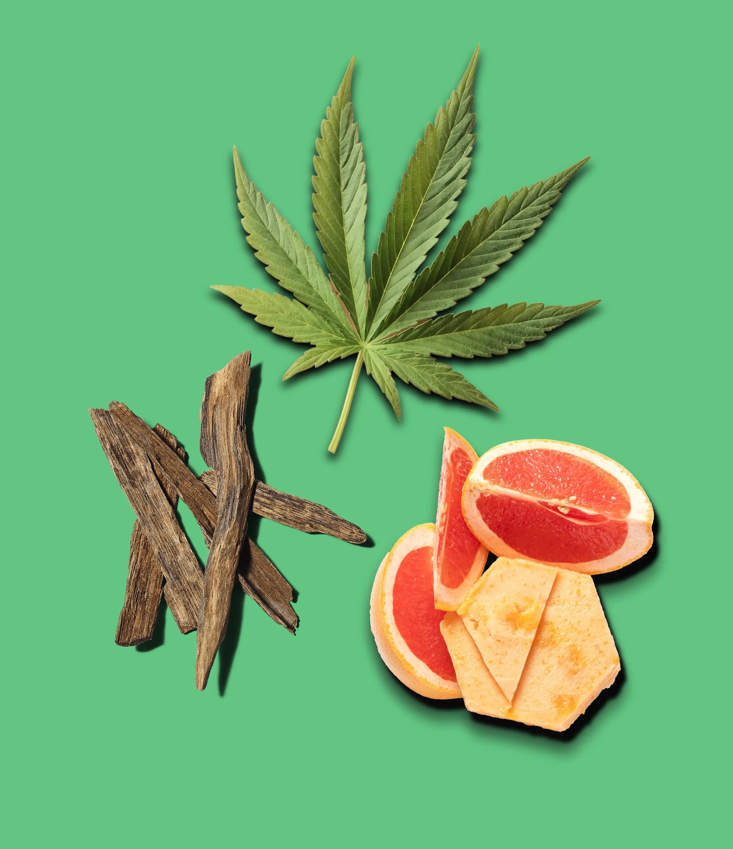 Scent in a Bottle - AK Galleria