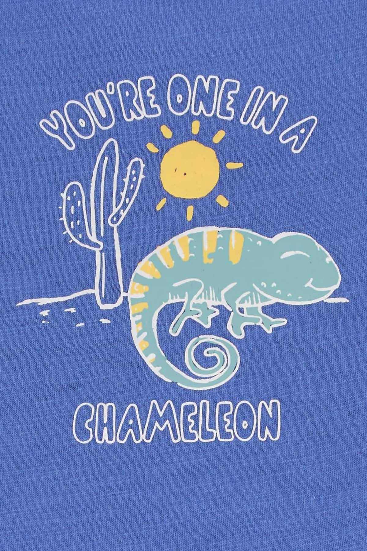 CARTER'S - AK Galleria