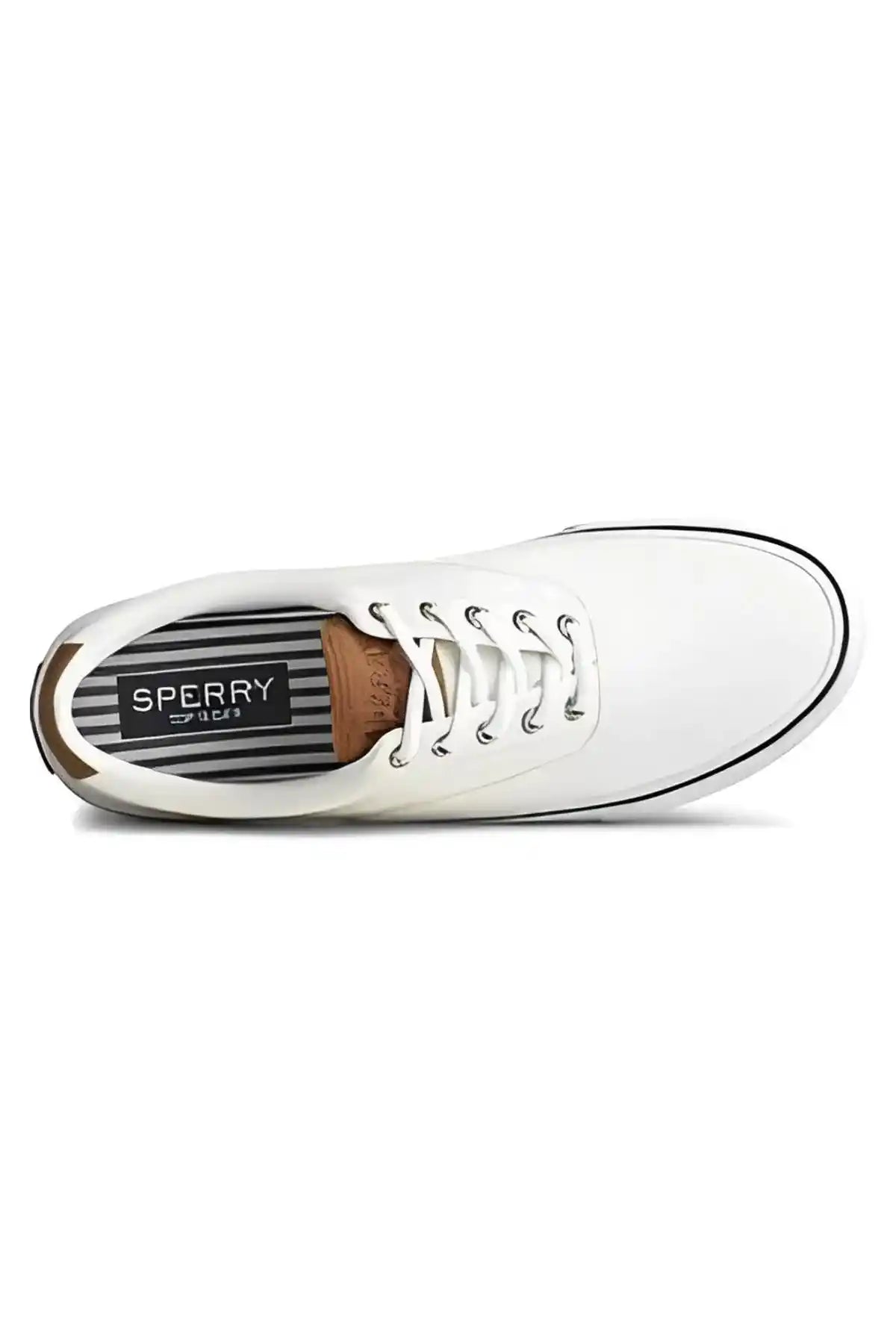 Sperry