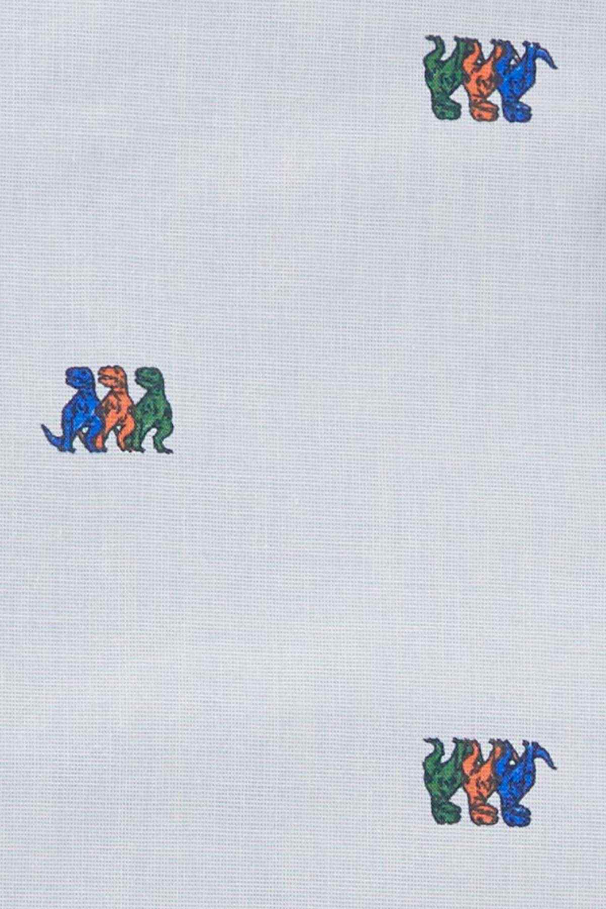 Light blue fabric close-up with scattered dinosaur print motifs