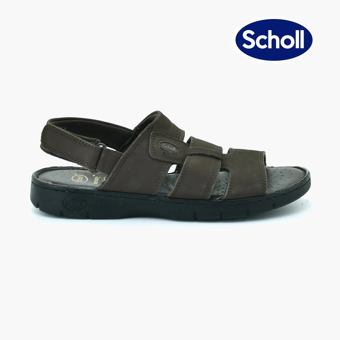 BATA