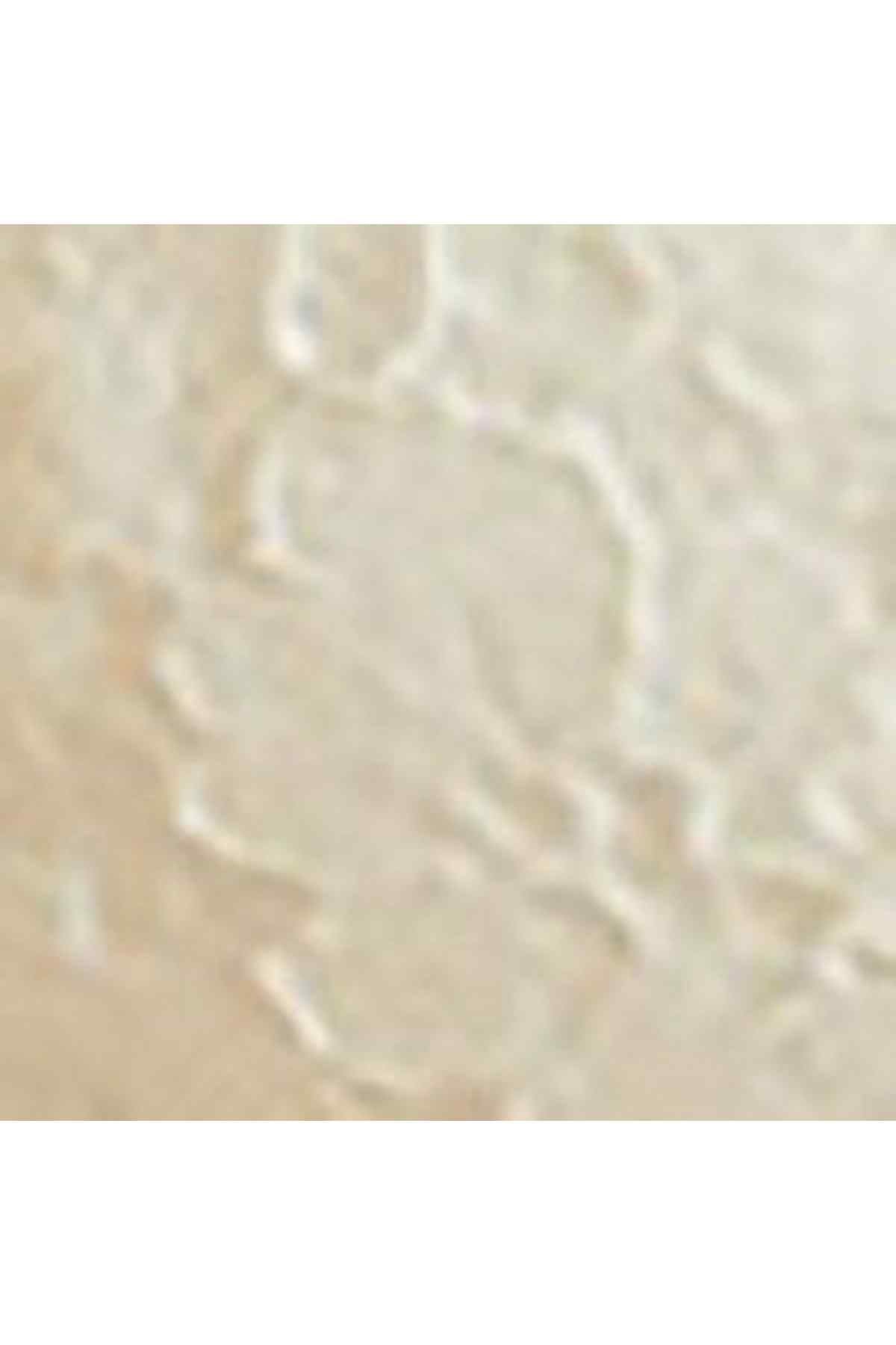 Off-white lace fabric detail with floral pattern