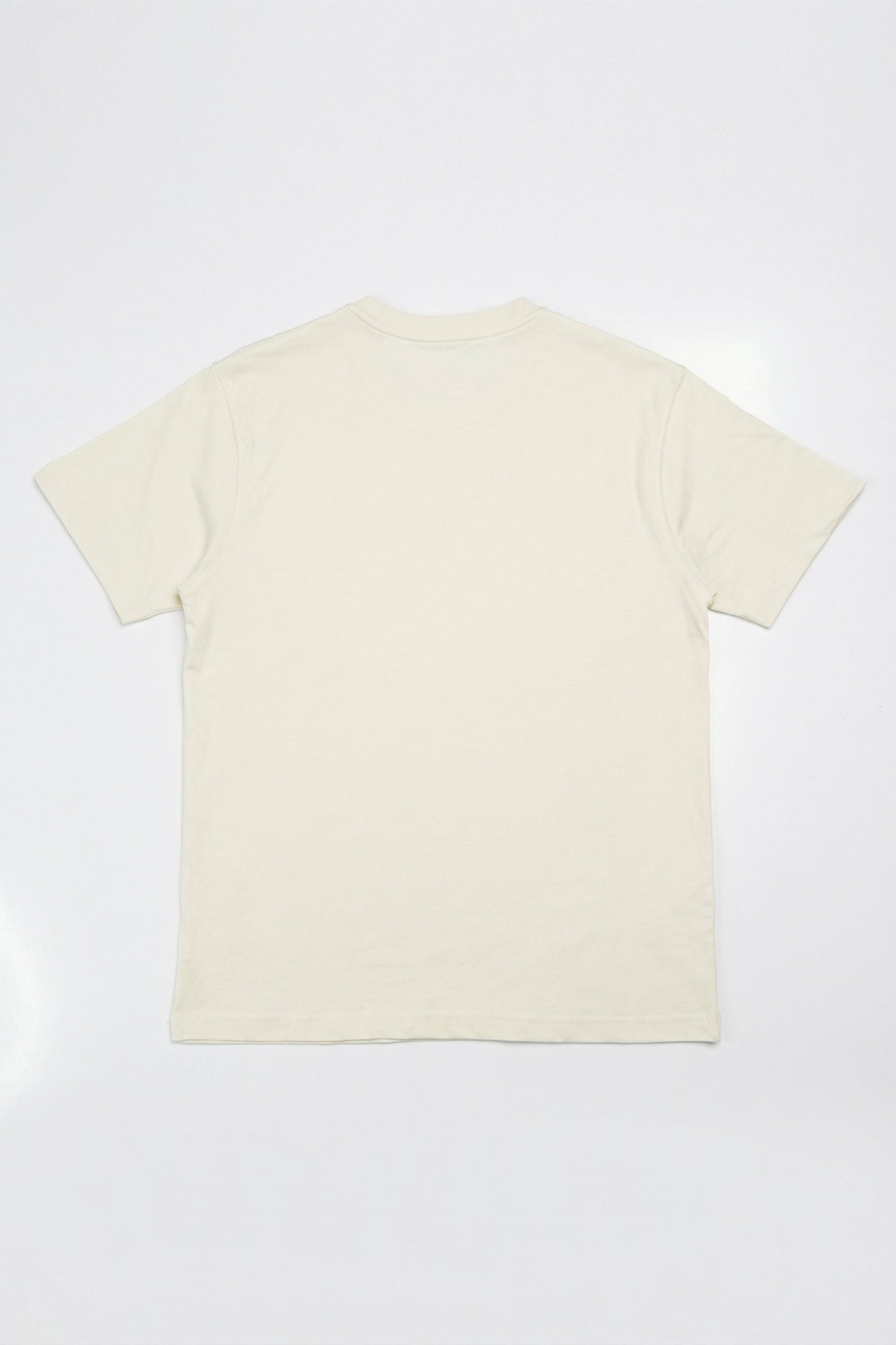 Beige Boxy Fit T-Shirt - Hustle N Holla