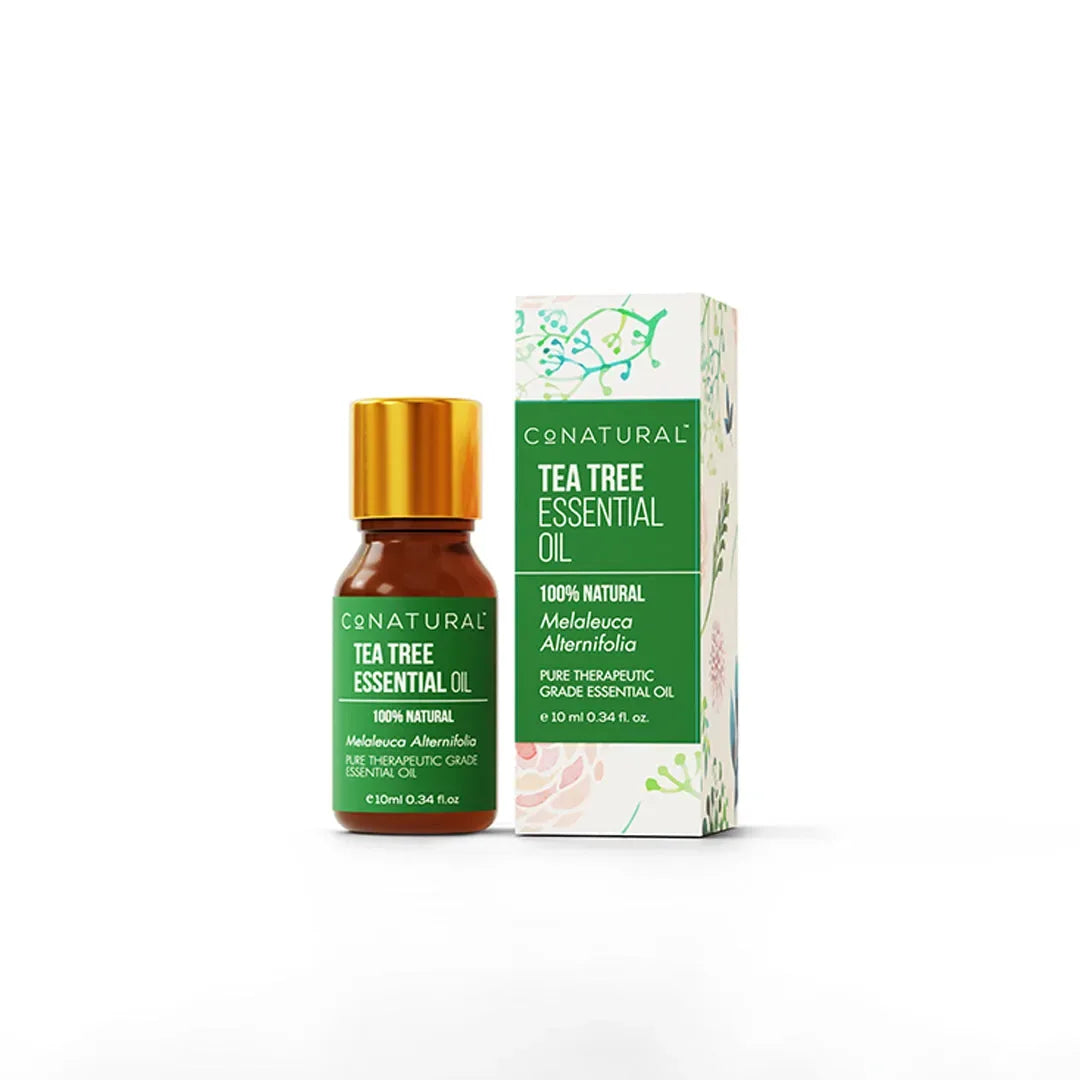 Conatural - AK Galleria