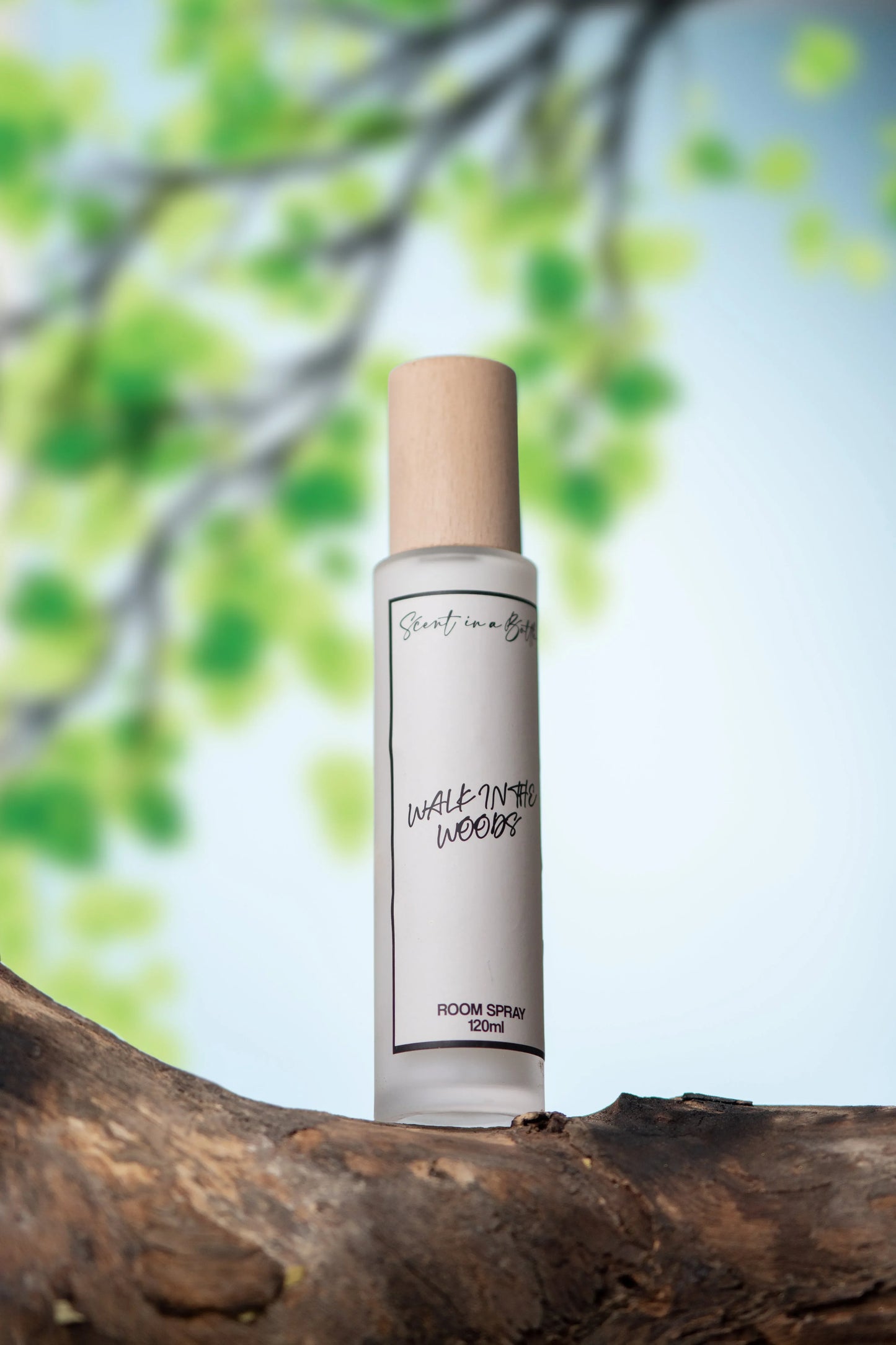 Scent in a Bottle - AK Galleria