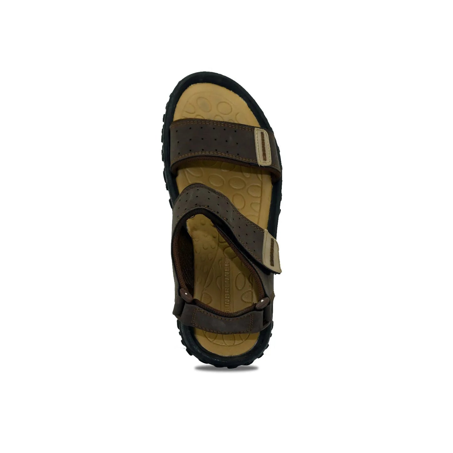 BATA