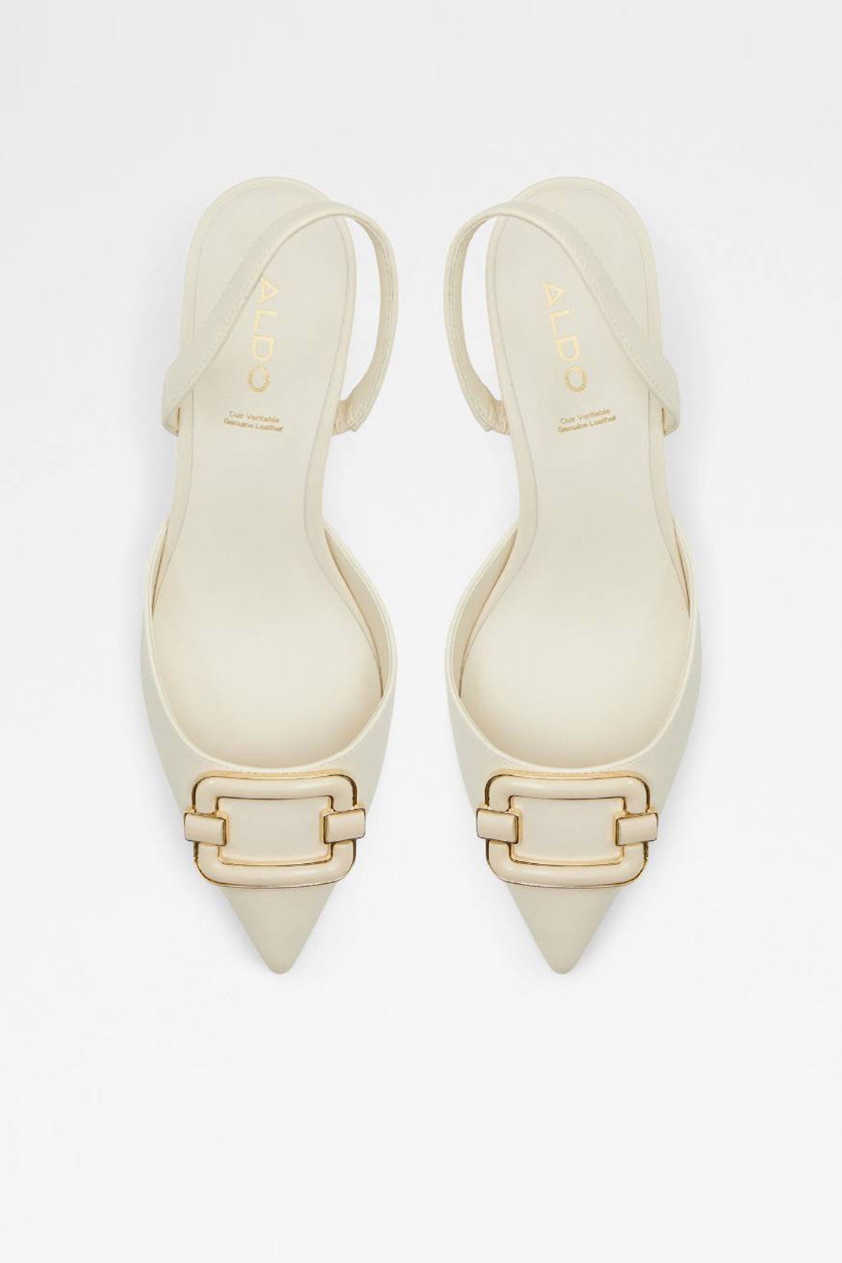 ALDO