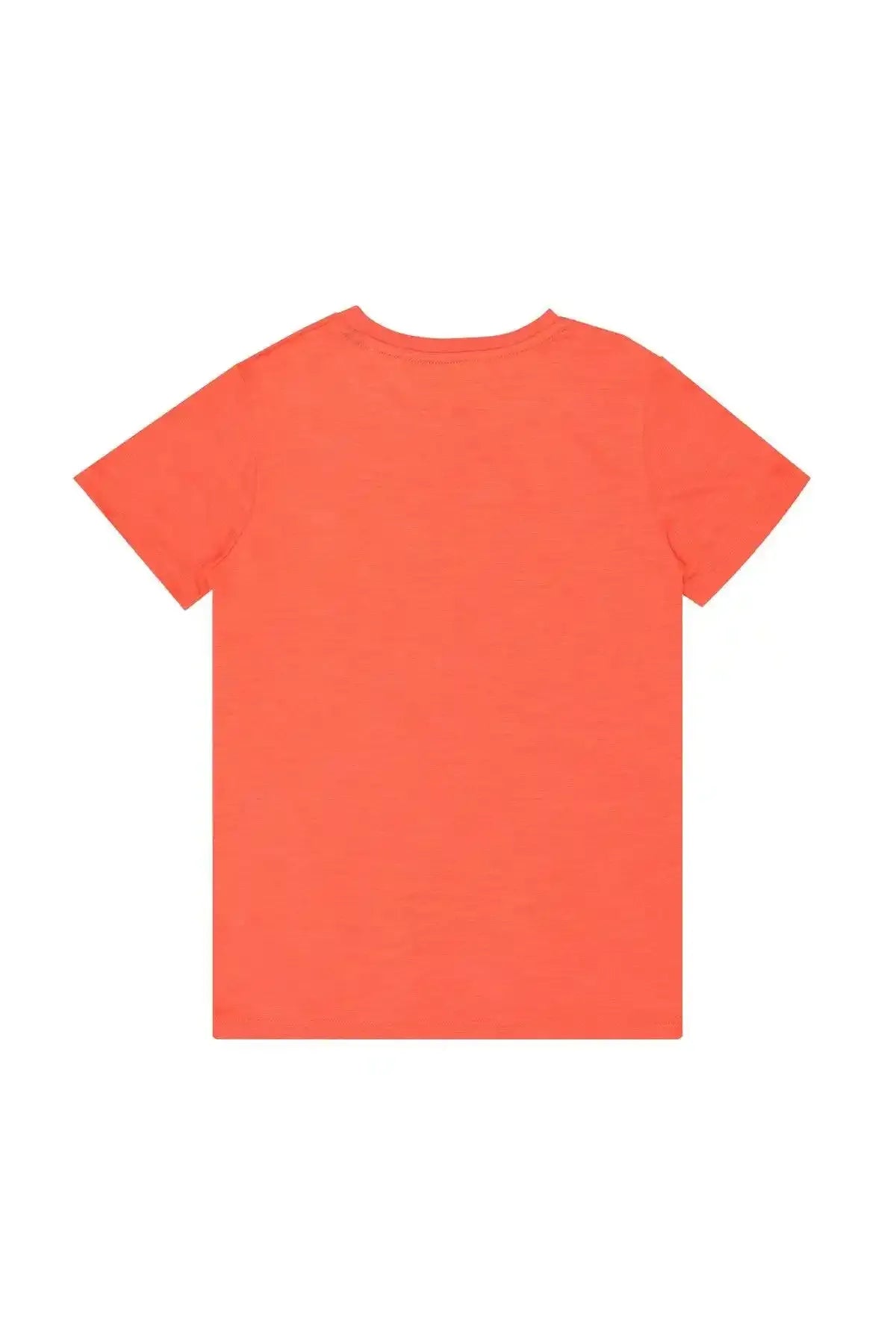 IXAMPLE - AK Galleria