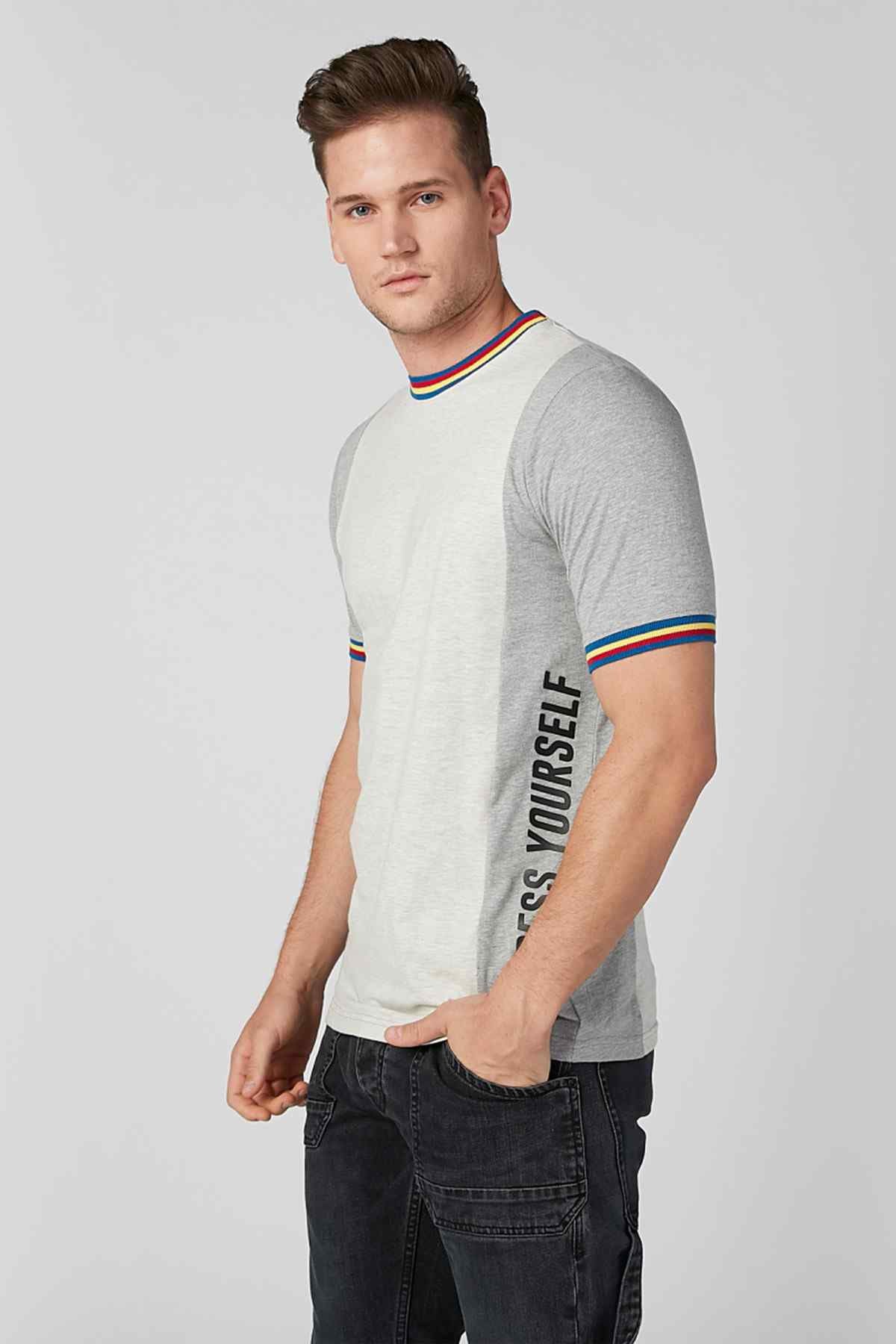Men's crewneck T-shirt in light gray with multicolor striped sleeve trim