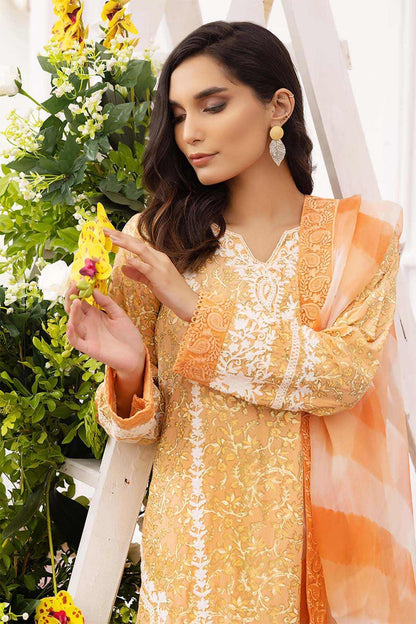 Nimra Kashif - AK Galleria