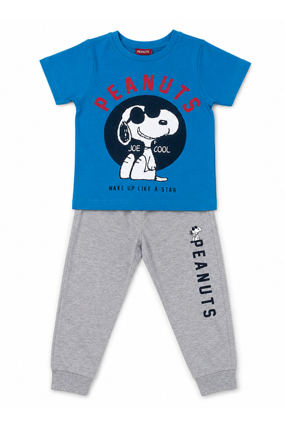 Kids blue graphic T-shirt and gray jogger pants set