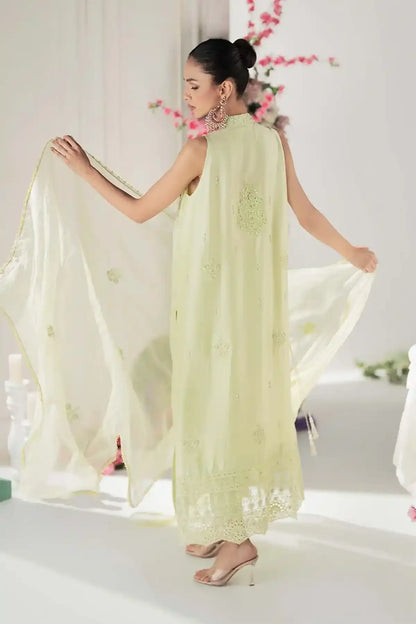 Nimra Kashif - AK Galleria