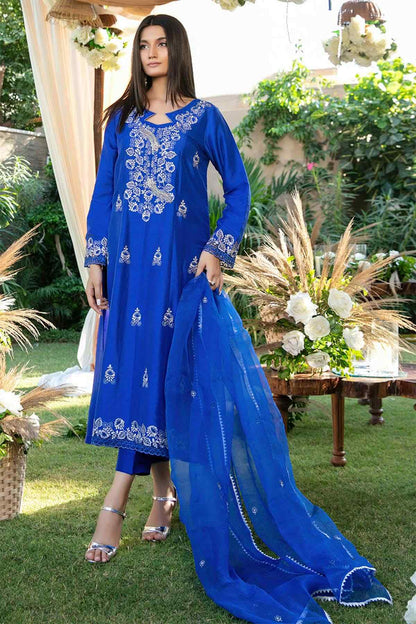 Nimra Kashif - AK Galleria