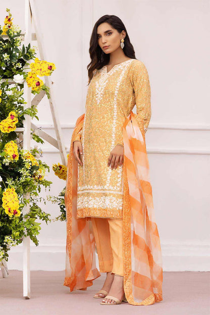 Nimra Kashif - AK Galleria