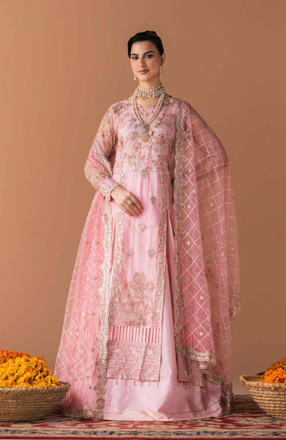 Pink stitched long dress with ornate floral motifs; draped dupatta with diamond grid