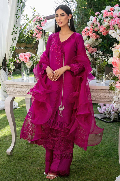 Nimra Kashif - AK Galleria