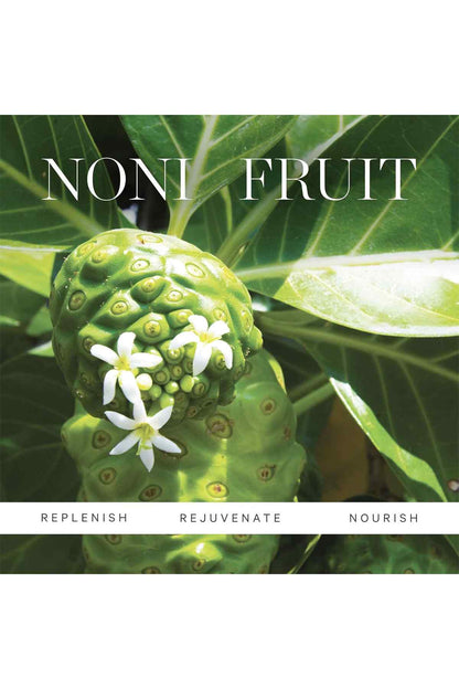 Noni fruit botanical cover card with noni fruit and green leaves