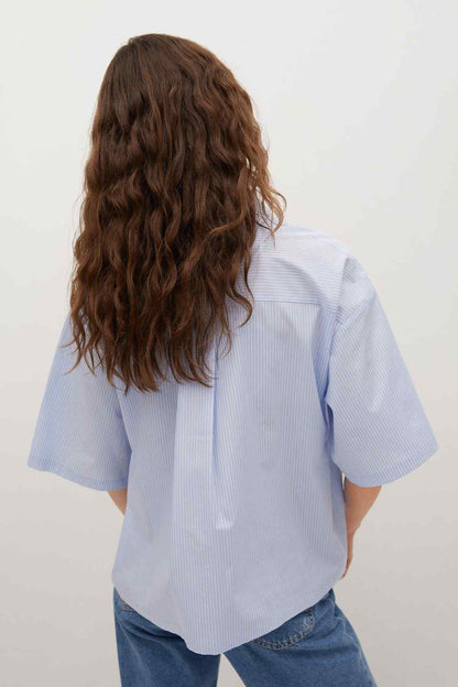 Sky blue striped short-sleeve button-up shirt, back view with yoke