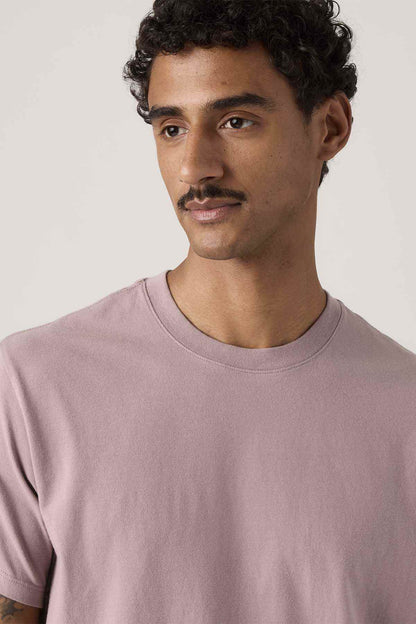 Men's mauve crew-neck T-shirt close-up, short sleeves