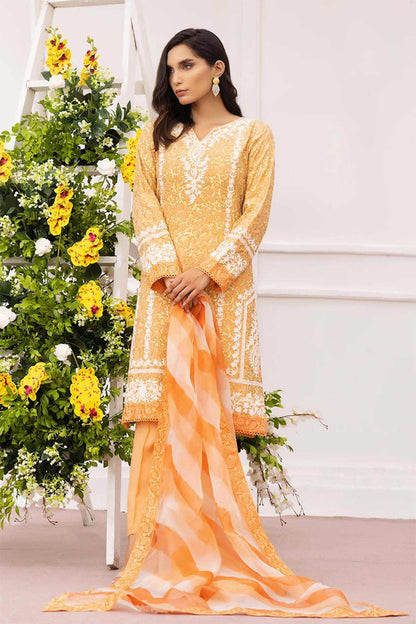 Nimra Kashif - AK Galleria