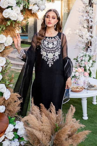Nimra Kashif
