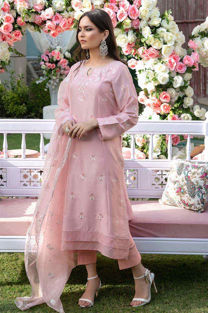 Nimra Kashif - AK Galleria