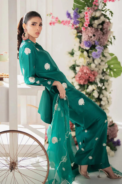 Nimra Kashif - AK Galleria