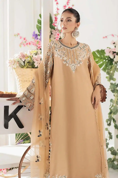 Nimra Kashif - AK Galleria