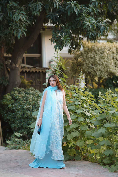 Reema Ahsan - AK Galleria