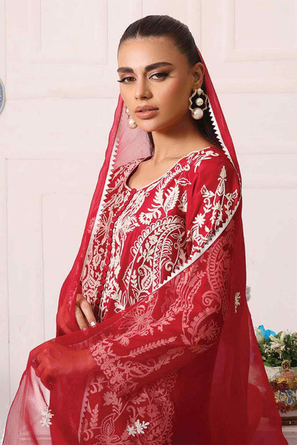 Nimra Kashif - AK Galleria