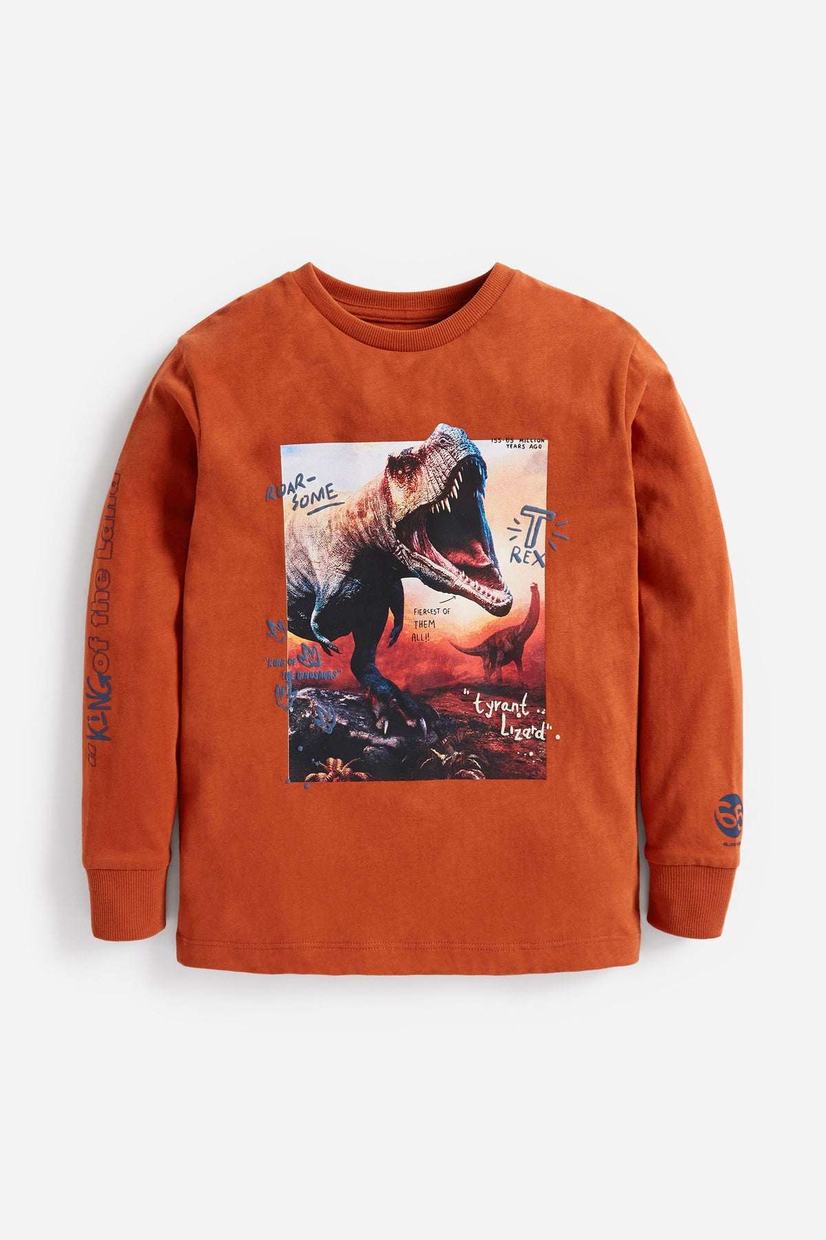 Rust orange graphic long-sleeve T-shirt with dinosaur print, crew neck