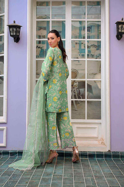 Reema Ahsan - AK Galleria