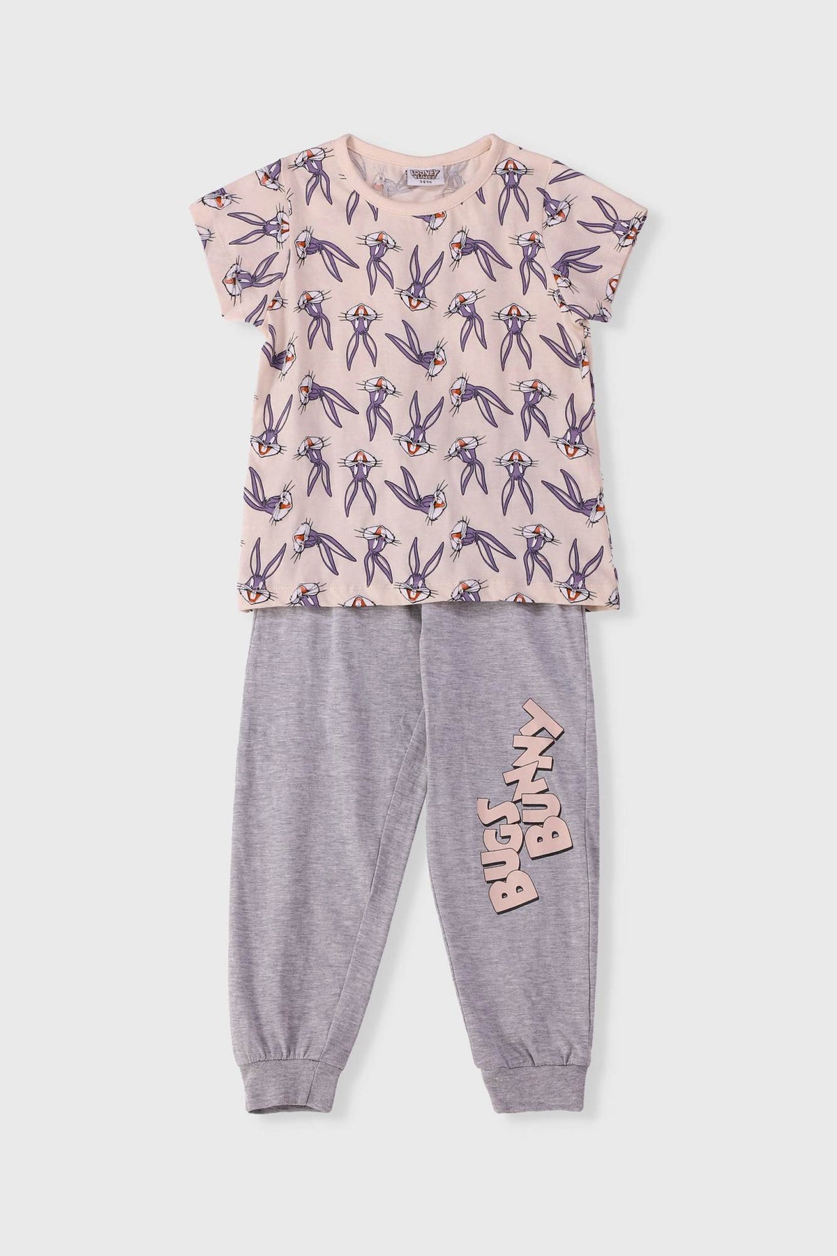 Kids pajama set with pink character tee and gray jogger pants