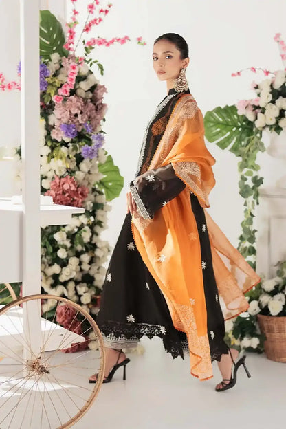 Nimra Kashif - AK Galleria