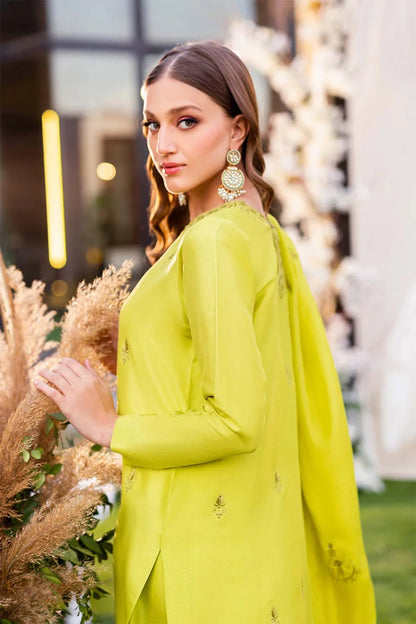 Nimra Kashif - AK Galleria