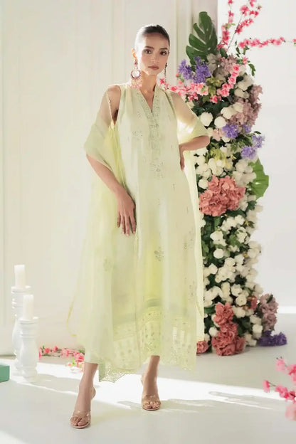 Nimra Kashif - AK Galleria