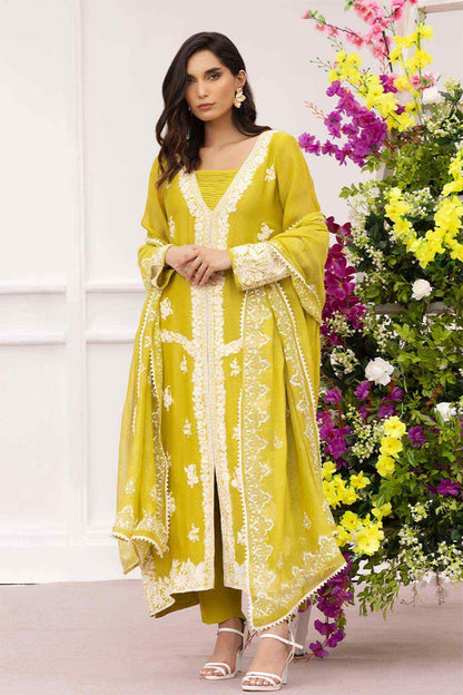 Nimra Kashif - AK Galleria