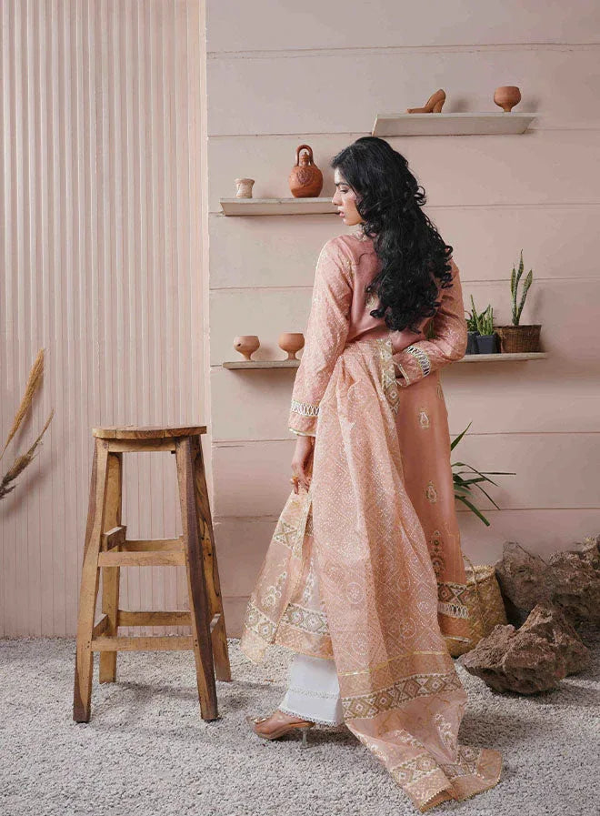 Kehkeshan - AK Galleria