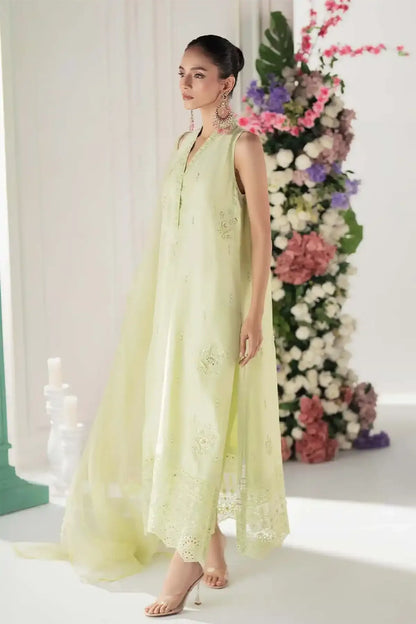 Nimra Kashif - AK Galleria
