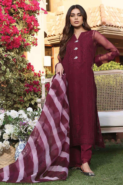 Nimra Kashif - AK Galleria