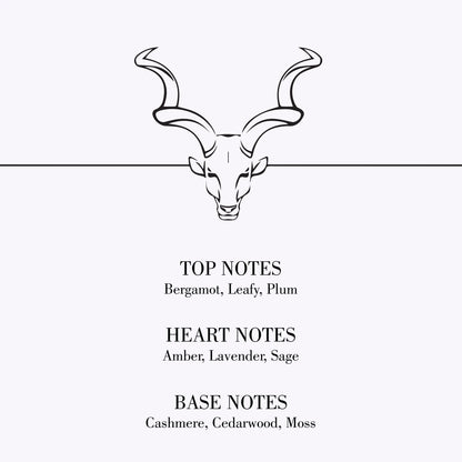 Conatural