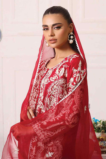Nimra Kashif - AK Galleria