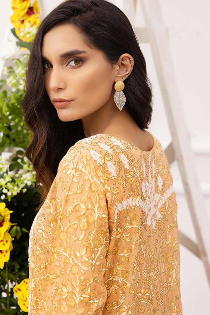 Nimra Kashif - AK Galleria