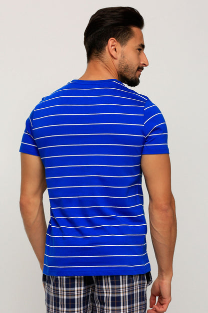 Men's blue striped crewneck T-shirt, back view