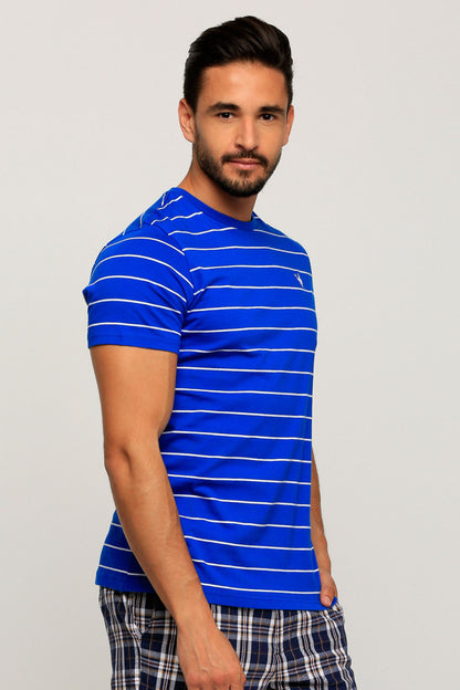 Men's blue striped crewneck T-shirt, short sleeves, side view