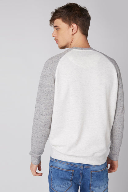 Back view of grey and white raglan sweatshirt, long sleeves and crew neck