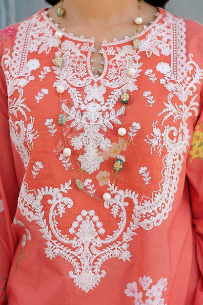 Reema Ahsan - AK Galleria