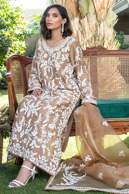 Light brown embroidered kurta dress with round neckline, lace cuffs, styled with dupatta