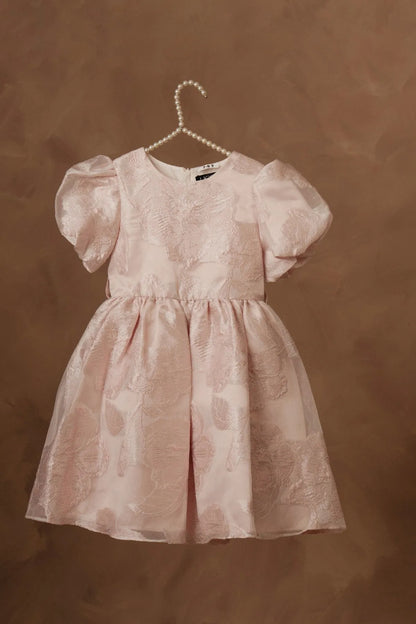 Light pink girls dress with puff sleeves, round neck, and pleated skater skirt